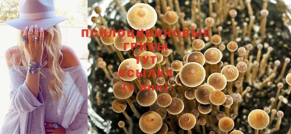 гашиш Баксан