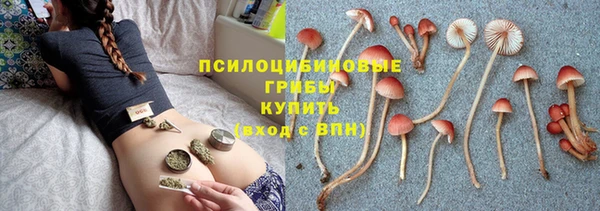 PSILOCYBIN Рославль